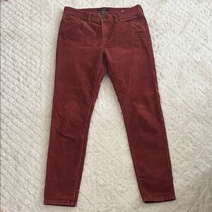 CUTE Banana Republic- Women's Rust Jeans